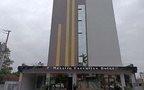 Hotel Maestro Executive Pato Branco